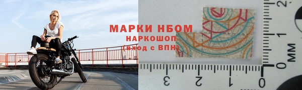 сатива Михайловка