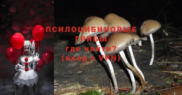 дурь Юрга