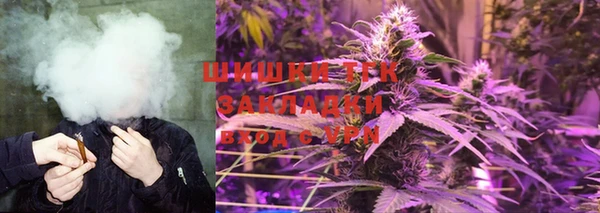 сатива Михайловка
