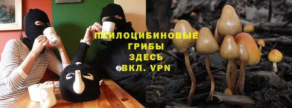 бошки Михайловск